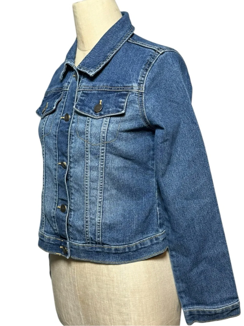 The Children’s Place Girls Denim Jacket Size XL 14